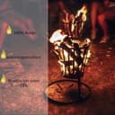 Flameup Brennholz Buche, Kaminholz mit Rinde, Buchenholz, Feuerholz für Ofen, Kamin, Kaminofen, Feuerschale, Grill, Holzscheite 25 cm, getrocknet, Menge:120 kg 2