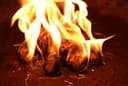 mgc24 Anzünder aus Holzwolle und Wachs Ofenanzünder Kaminanzünder Grillanzünder Ökologisch Kaminholzanzünder Holzanzünder 3kg (ca. 230 Stück) 7